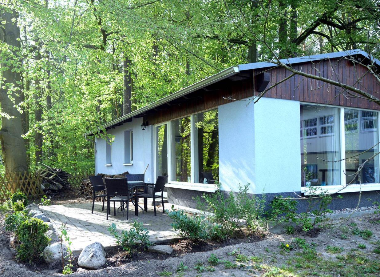 Waldschenke Stendenitz Übernachten im Wald am See Neuruppin Exterior foto